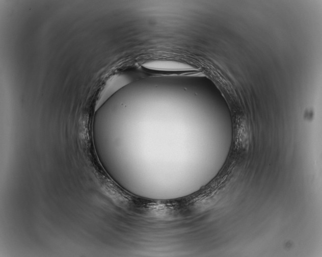 X0000100210616200806131253