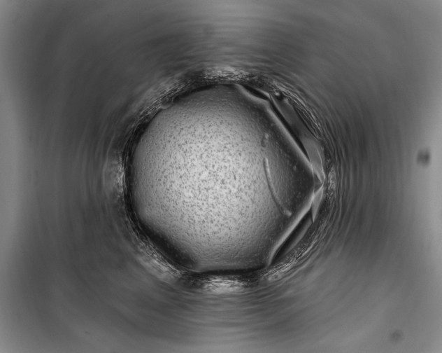 X0000100210617200806131253