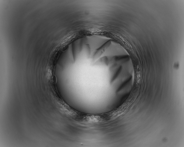 X0000100210618200806131253