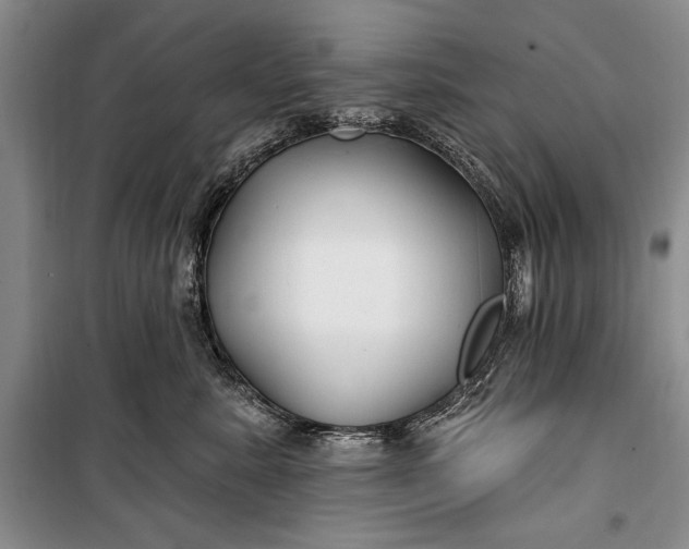 X0000100210619200806131253