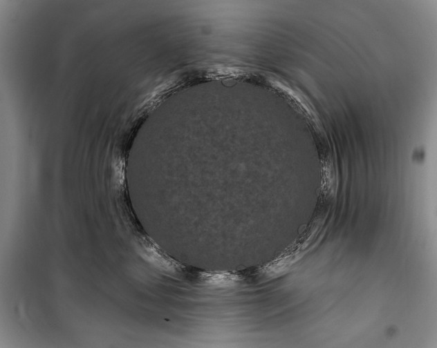 X0000100210621200806131253