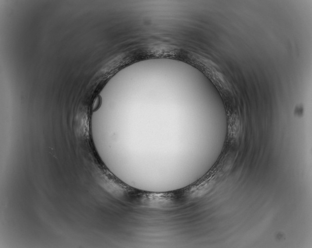 X0000100210622200806131253