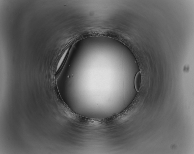 X0000100210624200806131253