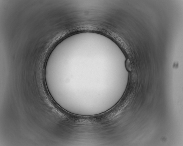 X0000100210625200806131253