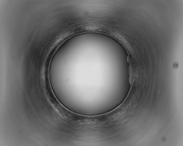 X0000100210626200806131253