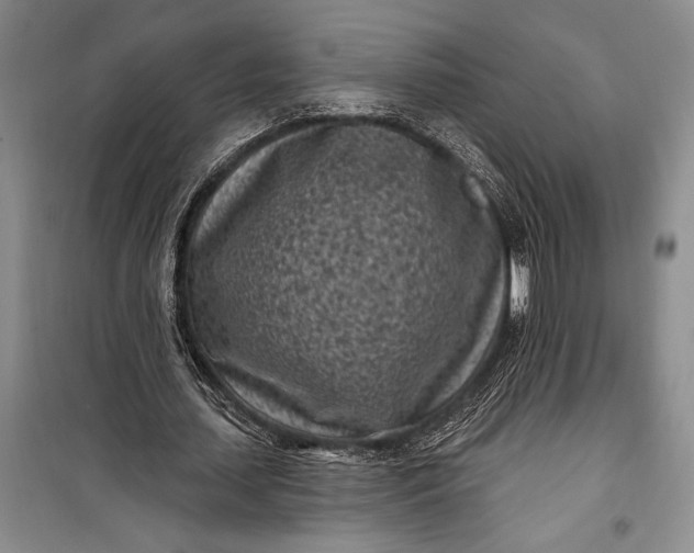 X0000100210627200806131253