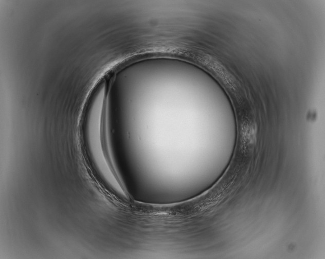 X0000100210628200806131253