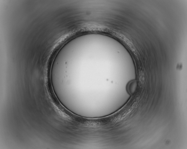 X0000100210629200806131253