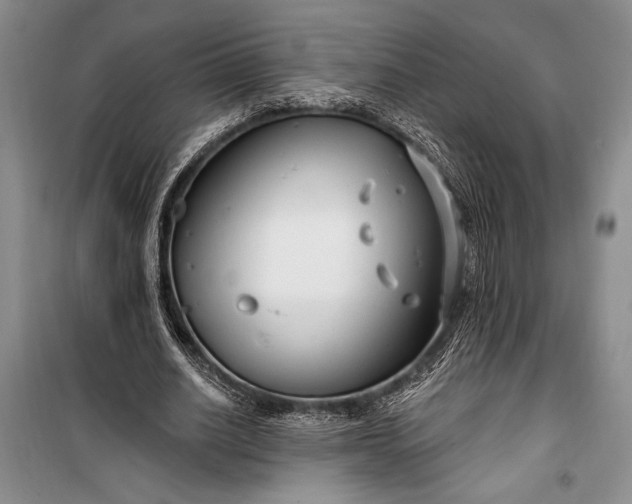 X0000100210630200806131253