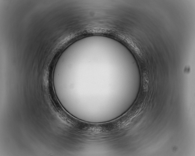 X0000100210631200806131253