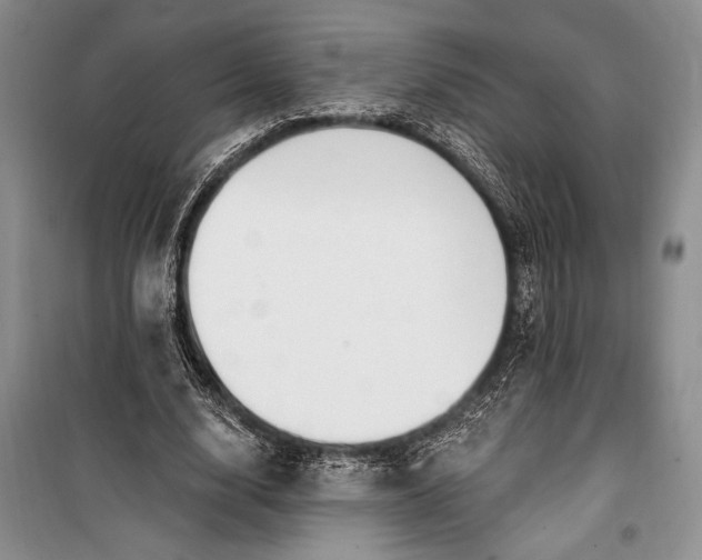 X0000100210632200806131253