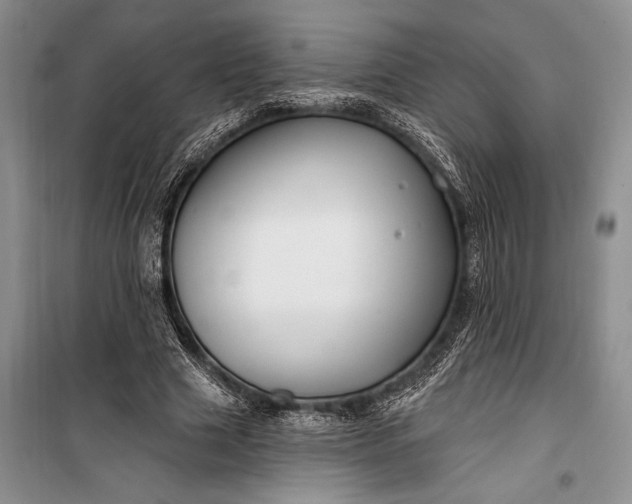 X0000100210633200806131253