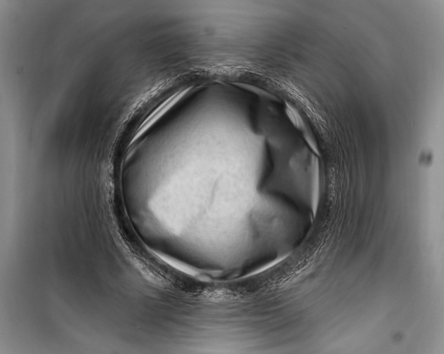 X0000100210634200806131253