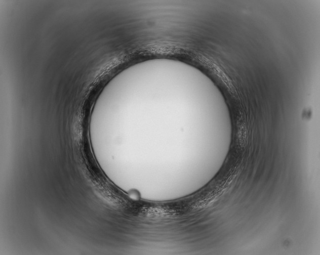 X0000100210635200806131253