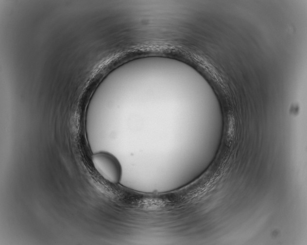 X0000100210636200806131253