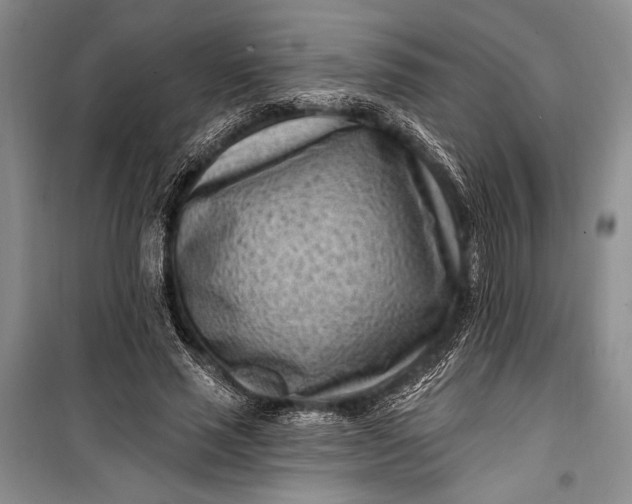 X0000100210637200806131253