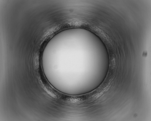 X0000100210638200806131253