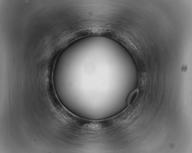 X0000100210639200806131253