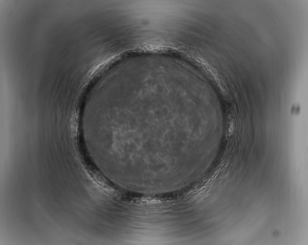 X0000100210640200806131253