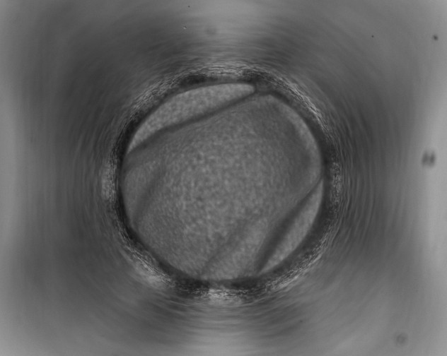 X0000100210641200806131253