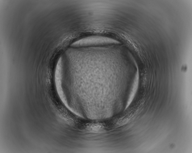 X0000100210643200806131253