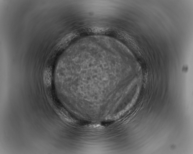 X0000100210644200806131253