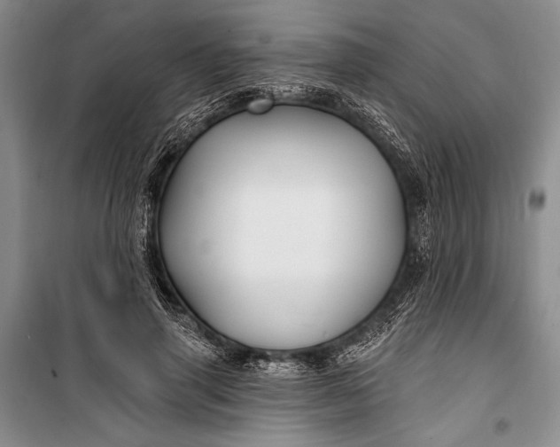 X0000100210645200806131253