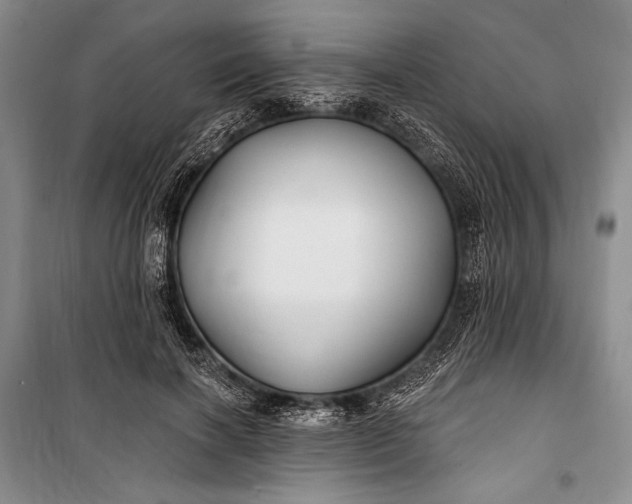 X0000100210646200806131253