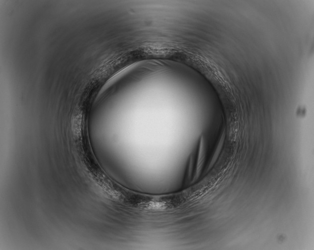 X0000100210647200806131253