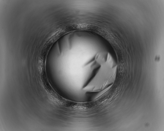 X0000100210648200806131253