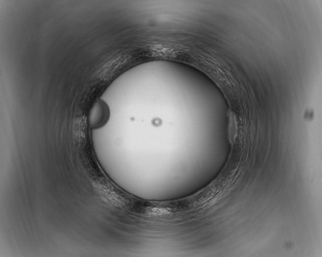 X0000100210649200806131253