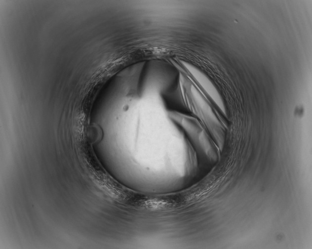 X0000100210650200806131253