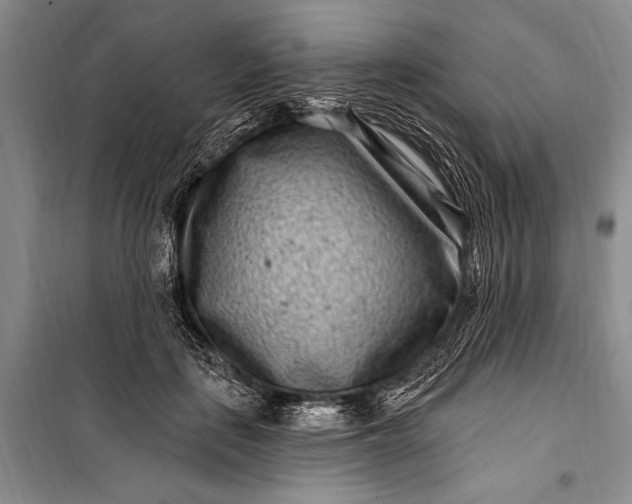 X0000100210651200806131253