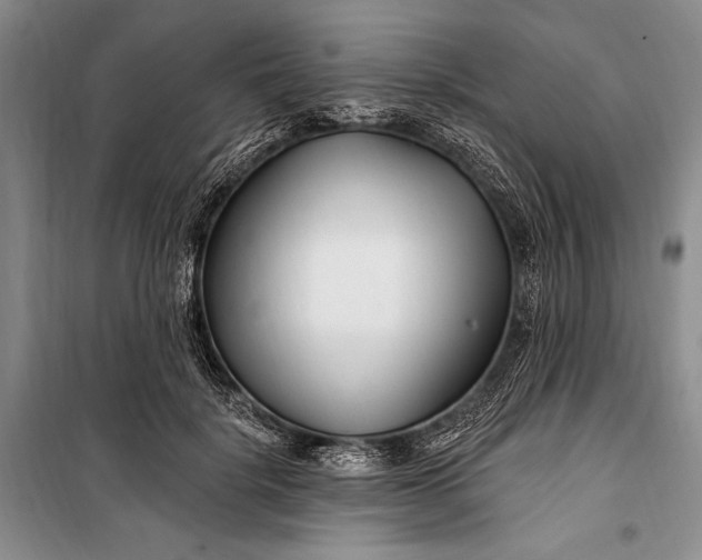 X0000100210652200806131253