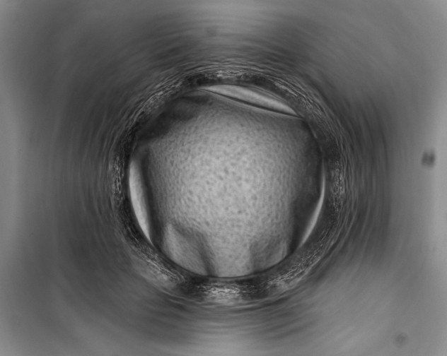 X0000100210653200806131253