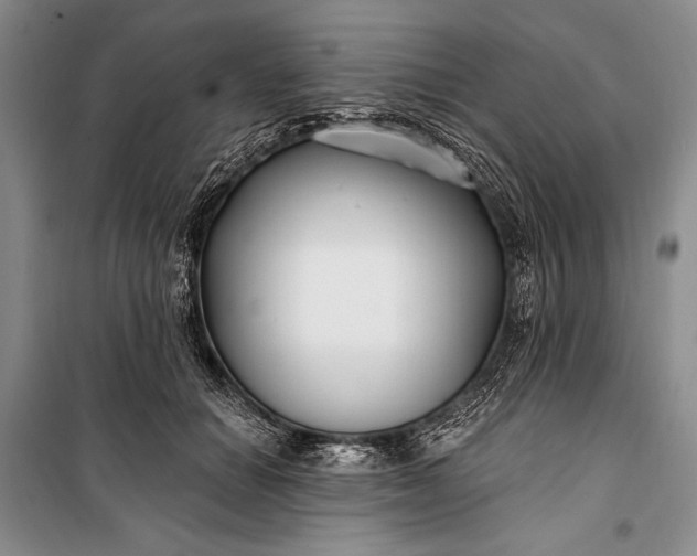 X0000100210654200806131253