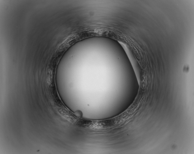 X0000100210656200806131253