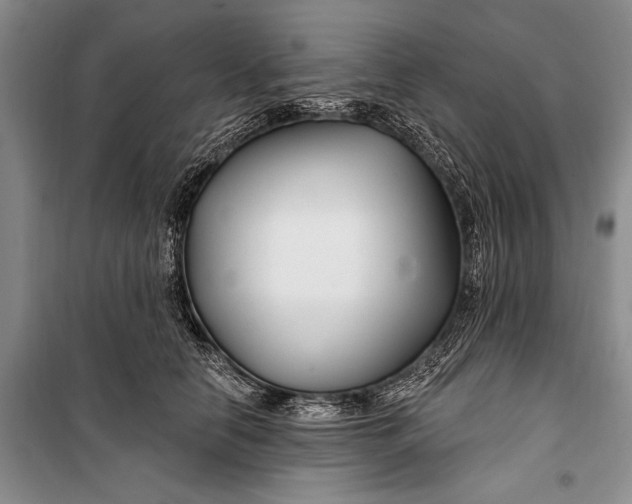 X0000100210658200806131253