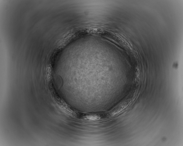 X0000100210659200806131253