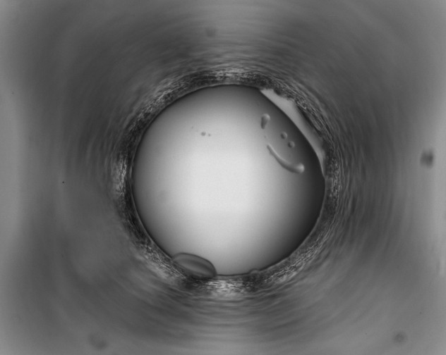 X0000100210660200806131253