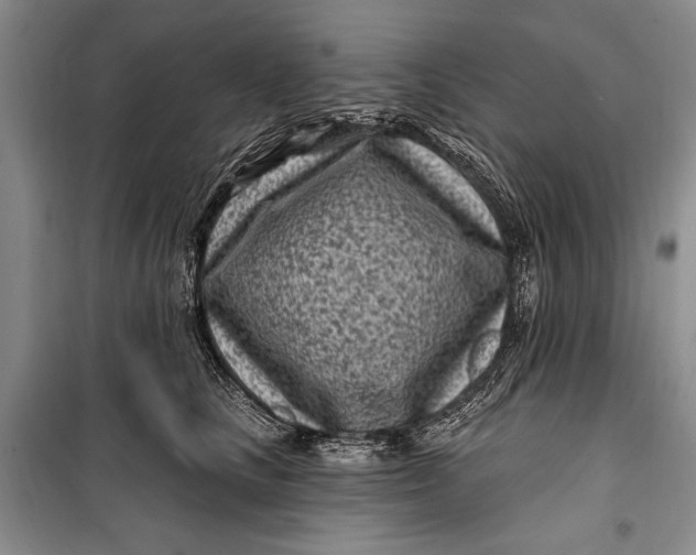 X0000100210661200806131253