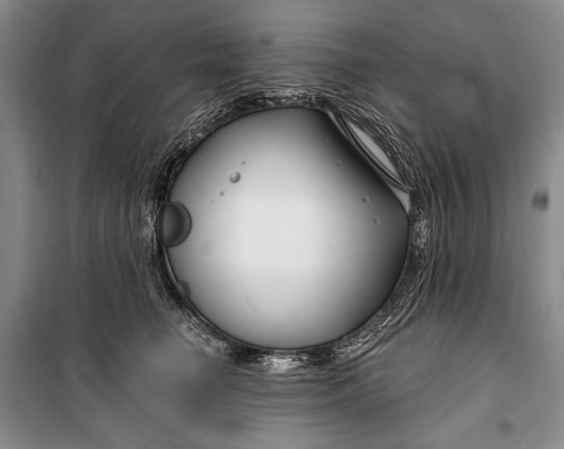 X0000100210662200806131253