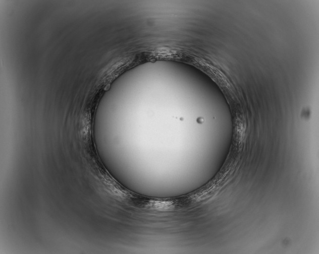 X0000100210665200806131253