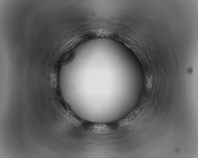 X0000100210666200806131253