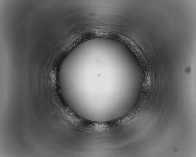 X0000100210667200806131253