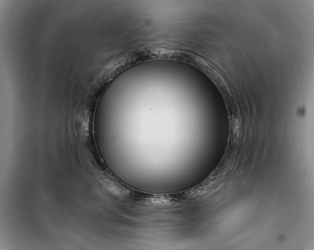 X0000100210668200806131253