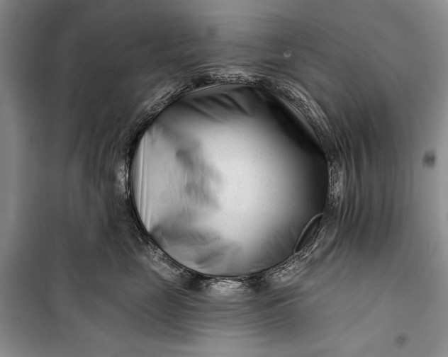 X0000100210669200806131253