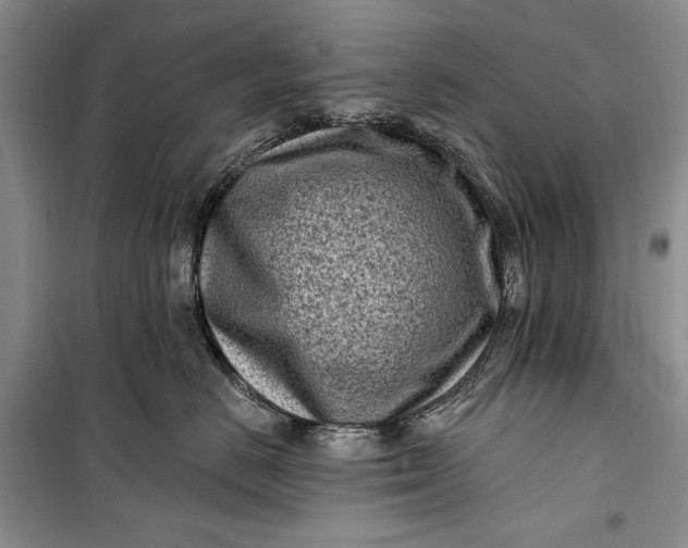 X0000100210670200806131253