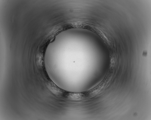 X0000100210671200806131253