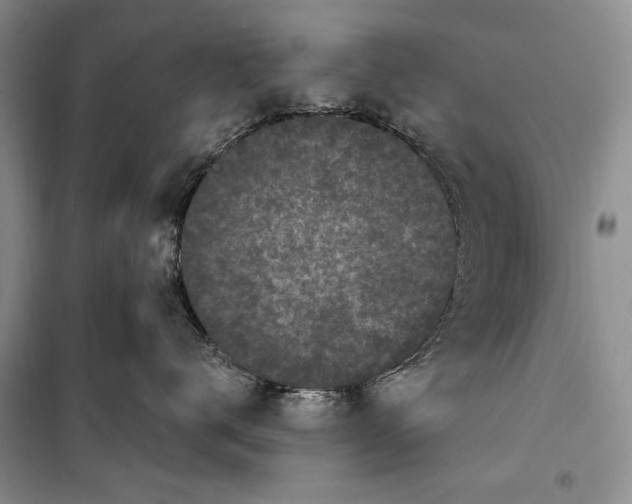 X0000100210672200806131253